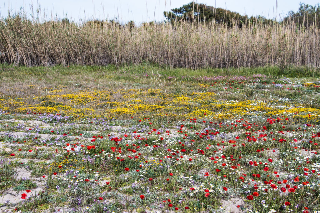 Masseria Potenti, Yoga retreat fuori stagione