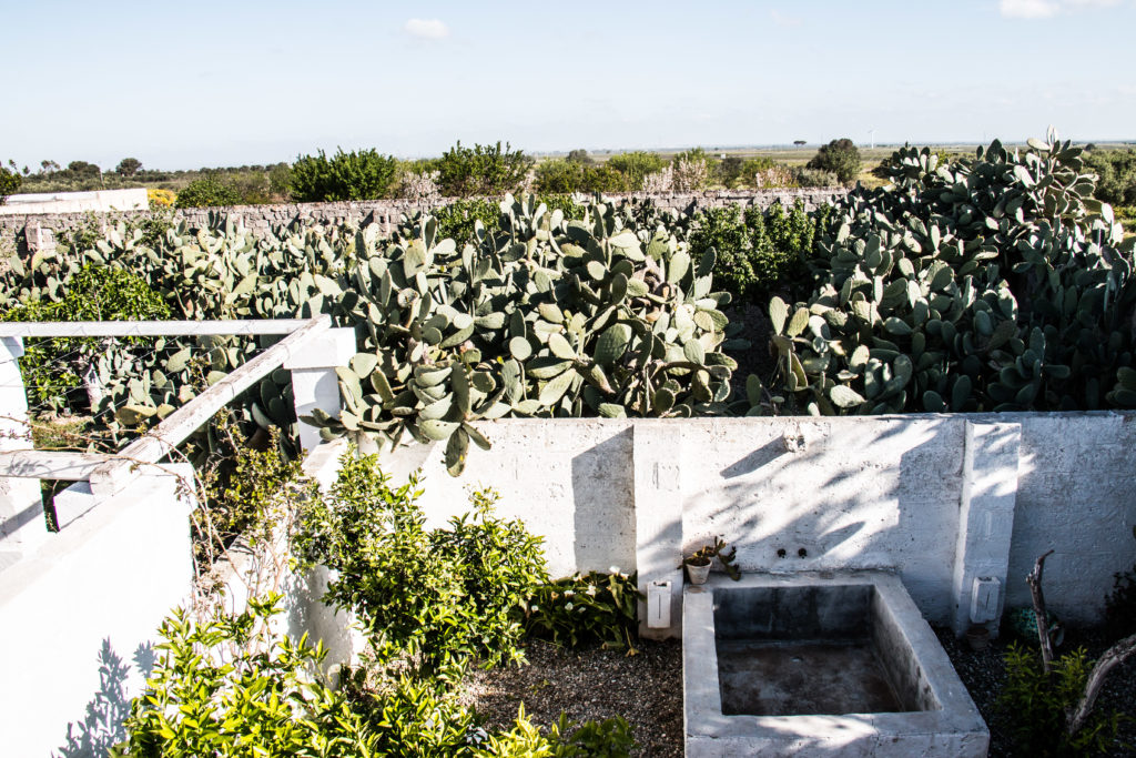 Masseria Potenti: pacchetto benessere fuori stagione