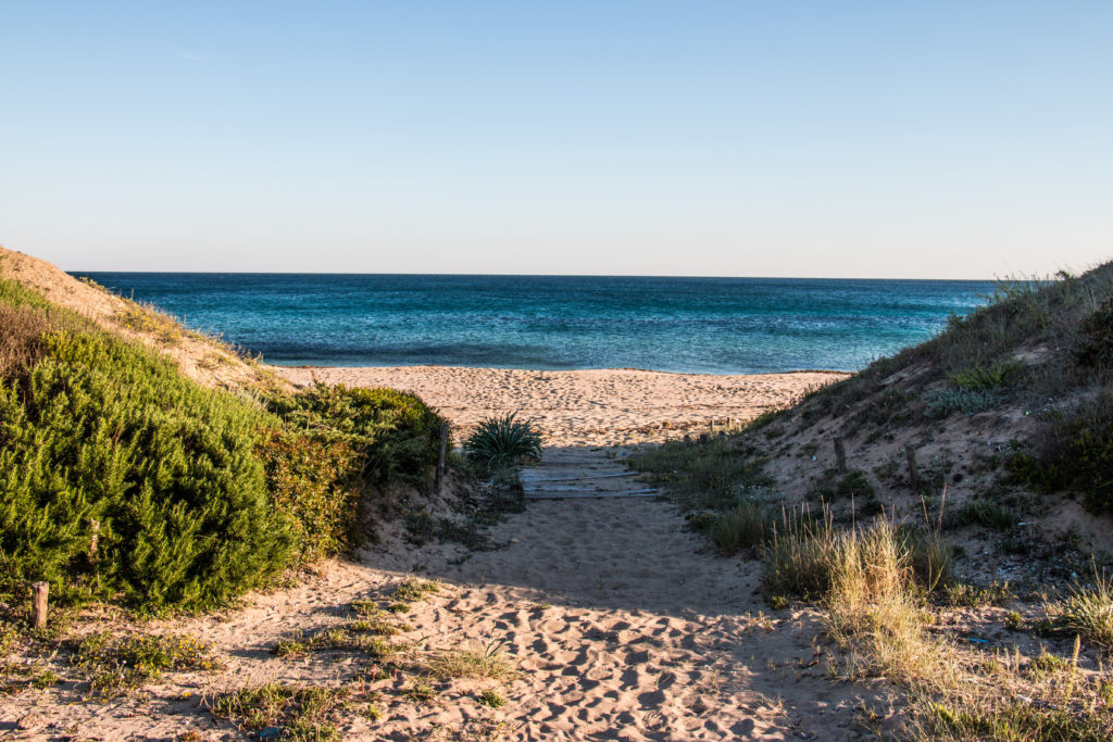 Masseria Potenti: mare blu