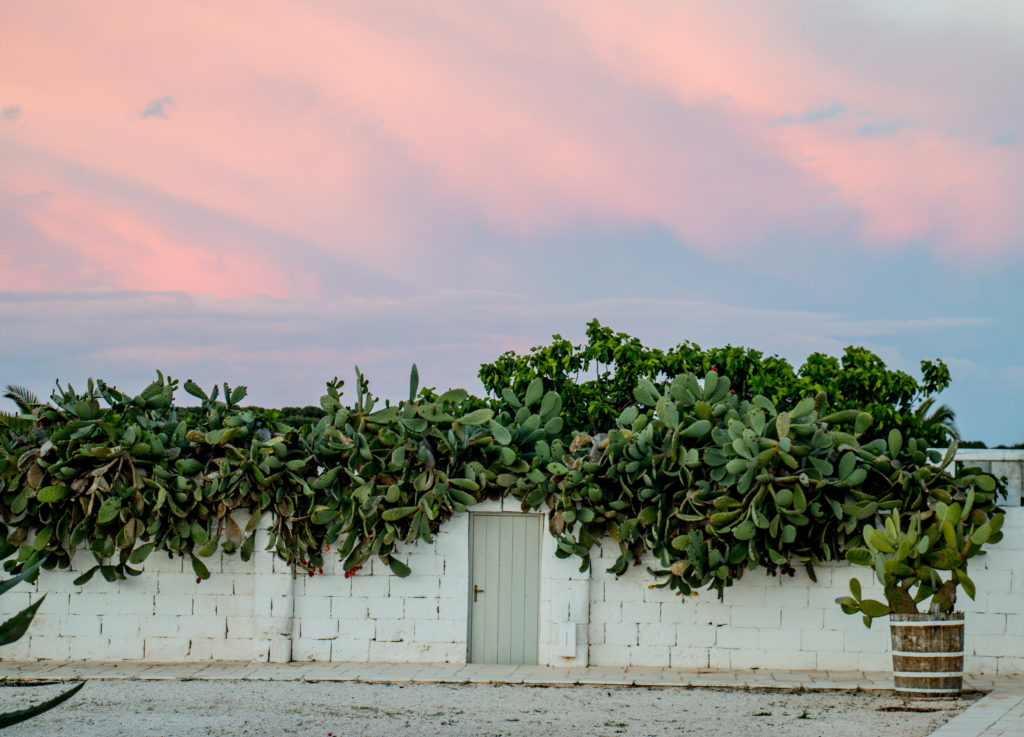 Masseria Potenti: tramonto